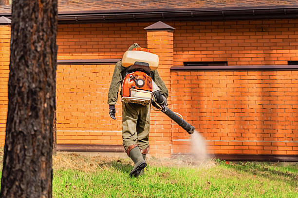 Top rated local Wasp Removal specialists in Essex, IL